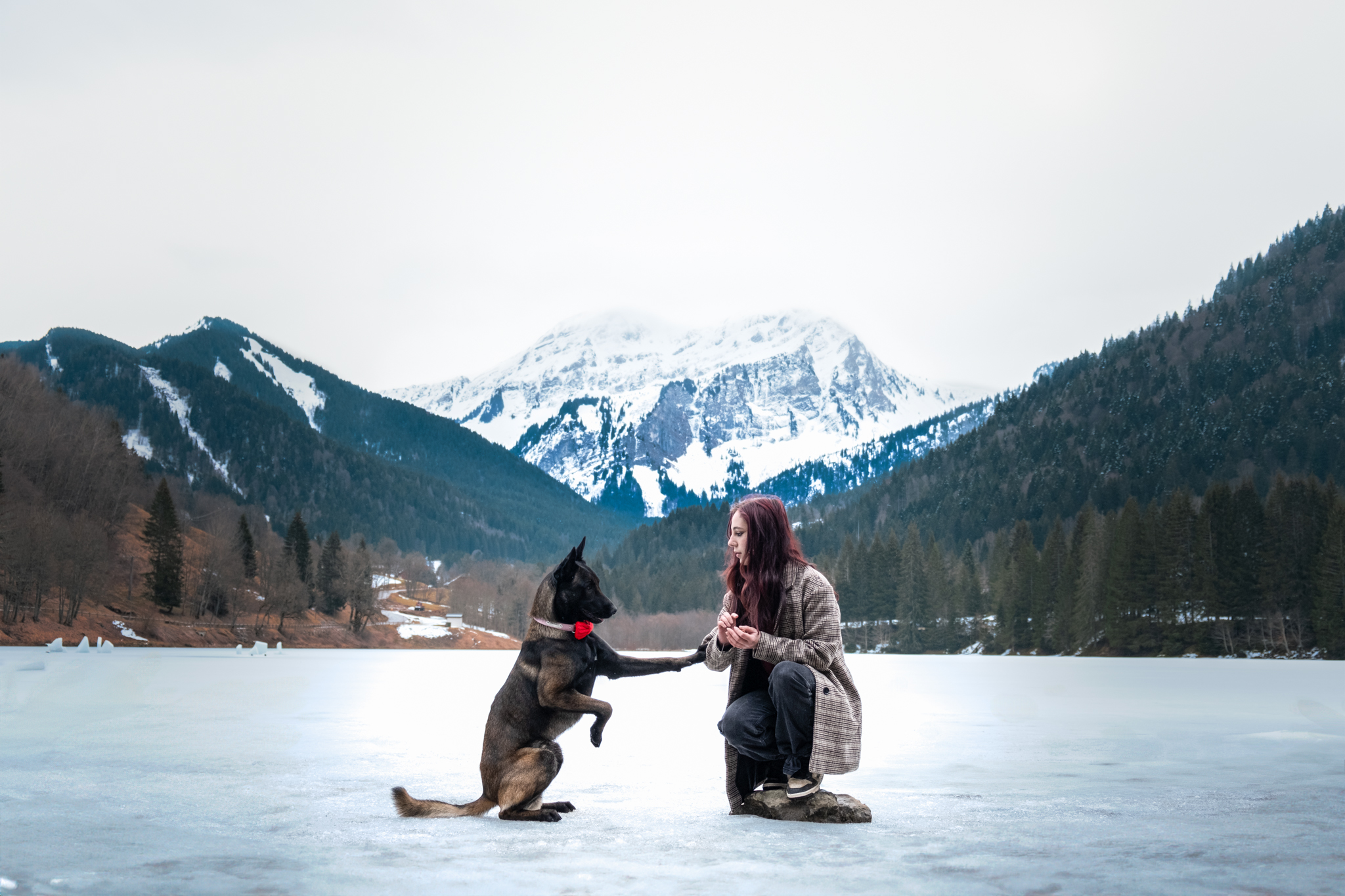 Séance photo de chien à Bellevaux en Haute Savoie. Photographe professionnelle spécialisée famille, grossesse et animalier. Shooting de malinois, duo maître/chien avec complicité au bord du lac de Vallon gelé avec de la neige.