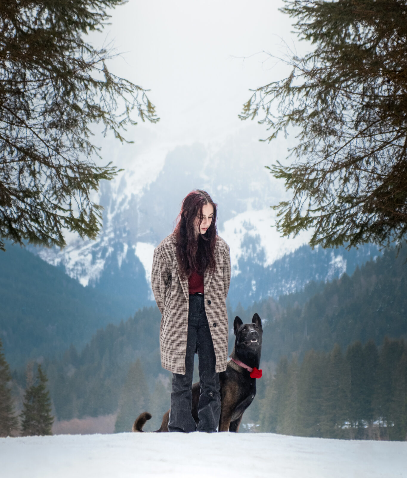 Séance canine au bord du lac